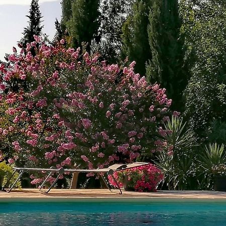 Villa Isabelle Barraca de Aguas Vivas Dış mekan fotoğraf