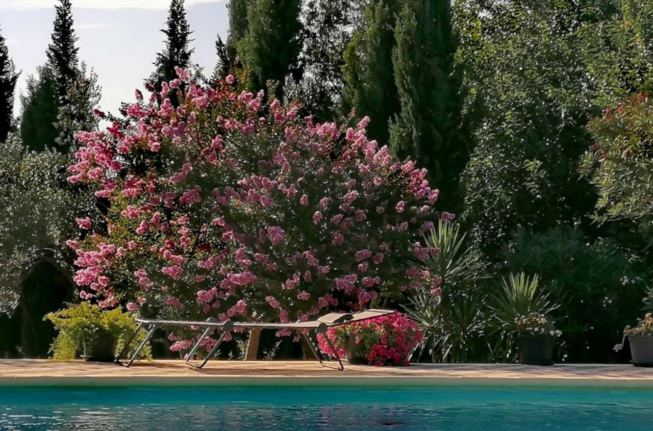 Villa Isabelle Barraca de Aguas Vivas Dış mekan fotoğraf